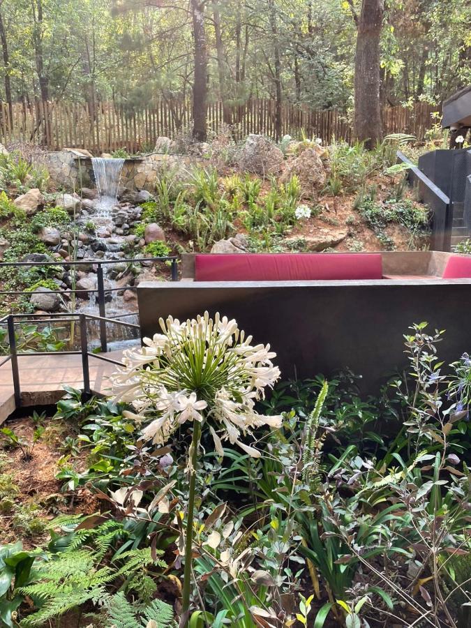 Hotel Oxu Solo Adultos Valle de Bravo Kültér fotó