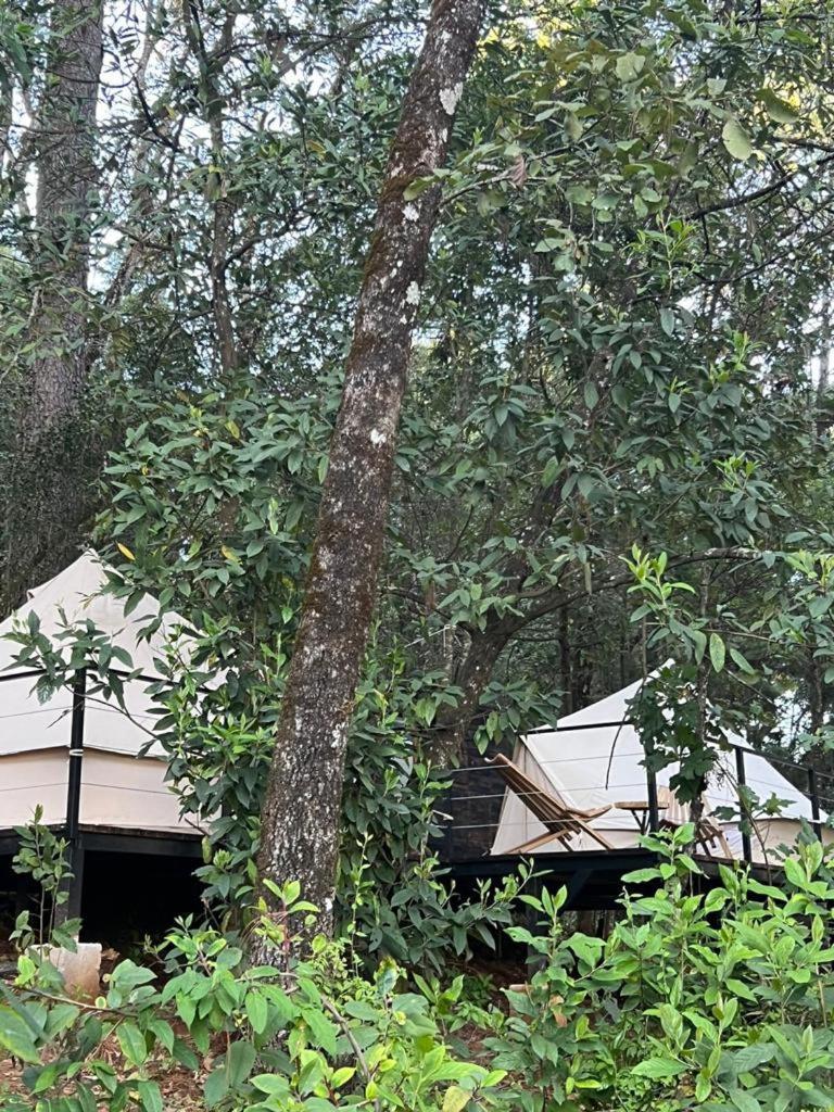 Hotel Oxu Solo Adultos Valle de Bravo Kültér fotó