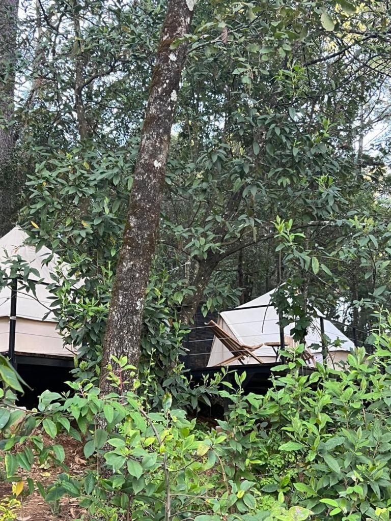 Hotel Oxu Solo Adultos Valle de Bravo Kültér fotó